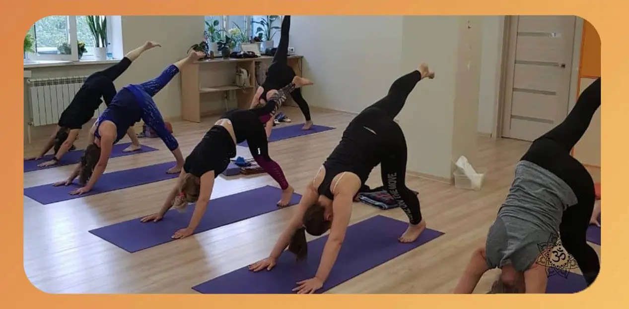 adho_mukha_svanasana